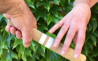 Lord Alderdice Blog: Why has this generation dropped the baton?